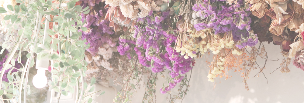 コンセプト　イラスト