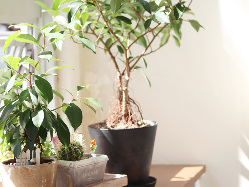 メッセージ　イメージ画像