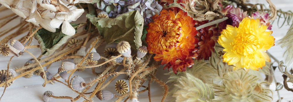 ヘッドスパ ヘッダーイメージ画像